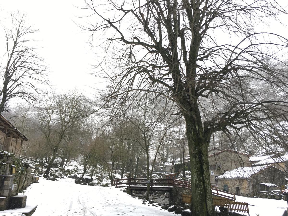 Albergue Villa De Bulnes Zewnętrze zdjęcie
